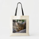 Recherche de purebreed sacs Pet