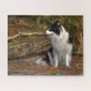 Recherche de border collie puzzles Pour tous