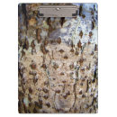 Recherche de bois blanc porte blocs Texture