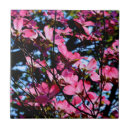 Recherche de fleur de magnolia carreaux Fleurs roses