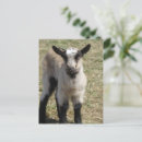 Recherche de vierge noire cartes postales Enfant
