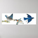 Recherche de audubon birds posters Vintage