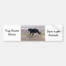 Recherche de neutre voiture autocollants Chiens