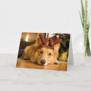 Recherche de reine elizabeth vœux cartes Canin