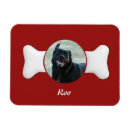 Recherche de compagnon animal magnets Animal de compagnie