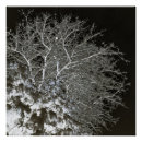 Recherche de arbre de branche posters Hiver