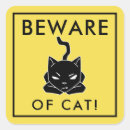 Recherche de chat jaune Drôle
