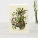 Recherche de faucon vœux cartes Illustration