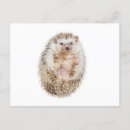 Recherche de haies cartes postales Animaux