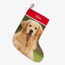 Recherche de coutume de chaussette de noël Chien