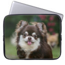 Recherche de chiwawa macbook housses Position