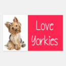 Recherche de yorkies autocollants Chien