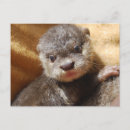Recherche de griffé cartes postales Asiatique