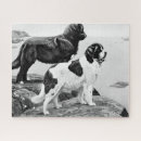 Recherche de chien puzzles Amoureux de les chiens
