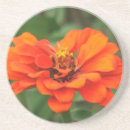 Recherche de zinnia dessous de verres Orange