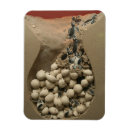 Recherche de turtle magnets Bébé