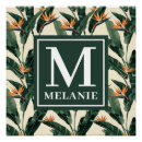 Recherche de oiseaux paradis posters Pour tous