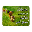 Recherche de chiot drôle magnets Mignon