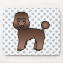 Recherche de caniche français tapis souris Chien