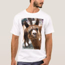 Recherche de alpaga tshirts Animaux