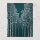Recherche de bouleaux cartes postales Forêt de bouleaux
