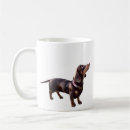 Recherche de chiot teckel tasses Mignon