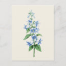 Recherche de redoute cartes postales Floral