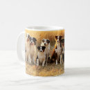 Recherche de bergers australiens tasses Pour animaux