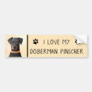 Recherche de dobermann voiture autocollants Doberman pinscher
