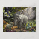 Recherche de bébé jungle cartes postales Animaux africains