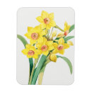 Recherche de chinois magnets Illustration