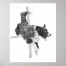 Recherche de agility posters Agilité du chien