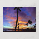 Recherche de flamboyant cartes postales Coloré