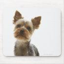 Recherche de concentration tapis souris Animal