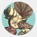 Recherche de algues autocollants Mer