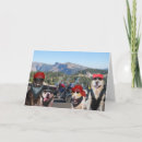 Recherche de motard anniversaire cartes Chien