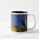 Recherche de pipe tasses Cactus