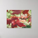 Recherche de chute impressions sur toile Feuilles