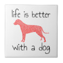 Recherche de chien carreaux Amoureux des chiens