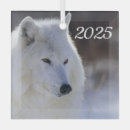 Recherche de loup ornements Faune