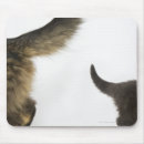 Recherche de queue tapis souris Bébé