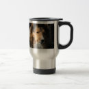 Recherche de sheltie voyage mugs Chiot