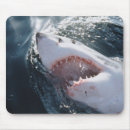 Recherche de grand requin blanc tapis souris Animal