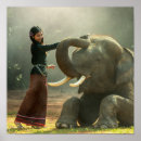 Recherche de elephant photos posters Cool