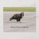 Recherche de pollution cartes postales Environnement