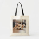 Recherche de pembroke welsh corgi tote bags Animal de compagnie