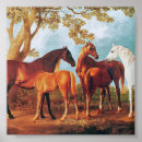 Recherche de poulain de cheval art Illustration