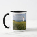 Recherche de st martin tasses Phare