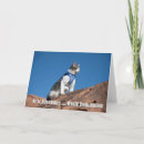 Recherche de dominateur vœux cartes Chat