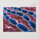 Recherche de bactérien posters Soins de santé